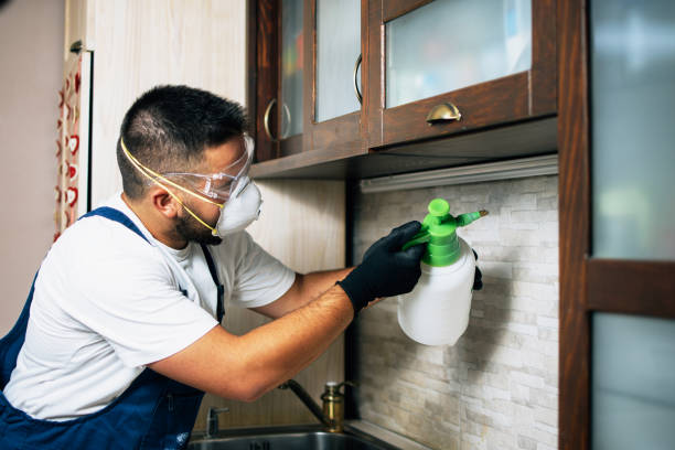 Professional Pest Control in Sumiton, AL