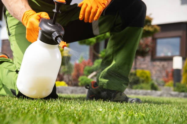 Best Commercial Pest Control Services  in Sumiton, AL