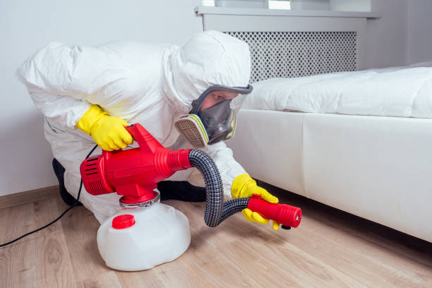 Best Flea Control Services  in Sumiton, AL