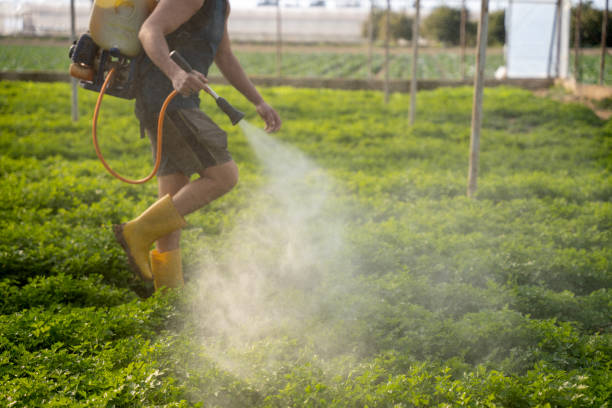 Best Ant Control Services  in Sumiton, AL