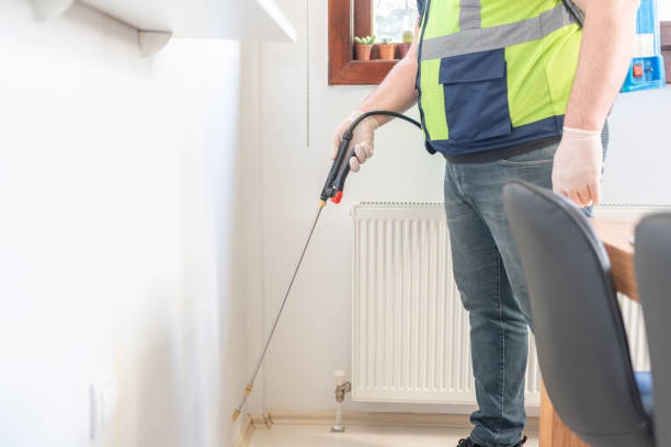 Best Termite Control Services  in Sumiton, AL