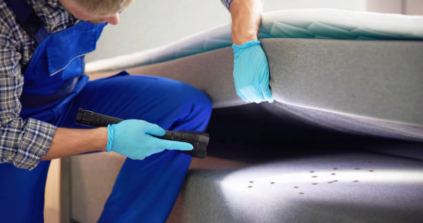 Best Rat Extermination Near Me  in Sumiton, AL