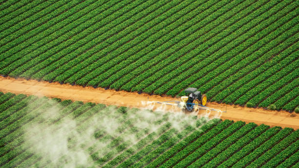Best Pest Inspection Near Me  in Sumiton, AL